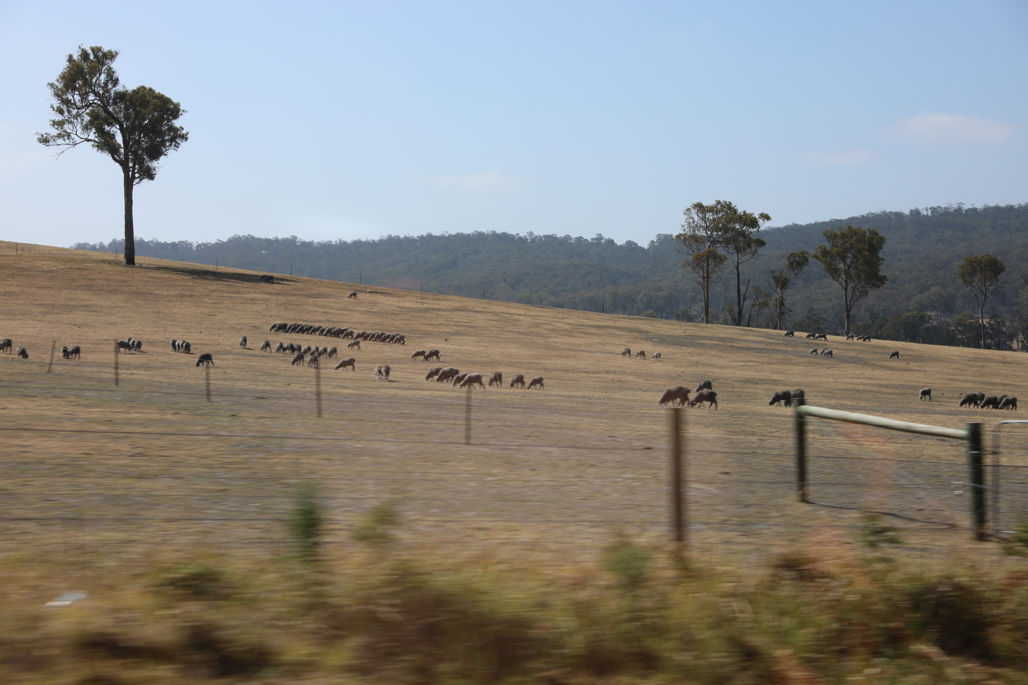 2019 12 26 16 01 12 Canon EOS 5D Mark IV 0005